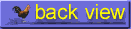 buttonback.gif (1197 bytes)